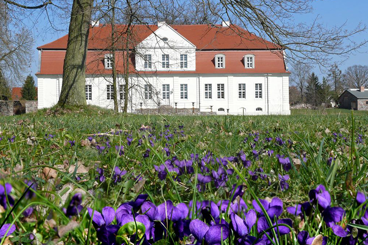 Jagdschloss Kotelow Blumen