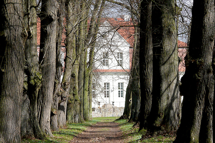 Allee Jagdschloss Kotelow