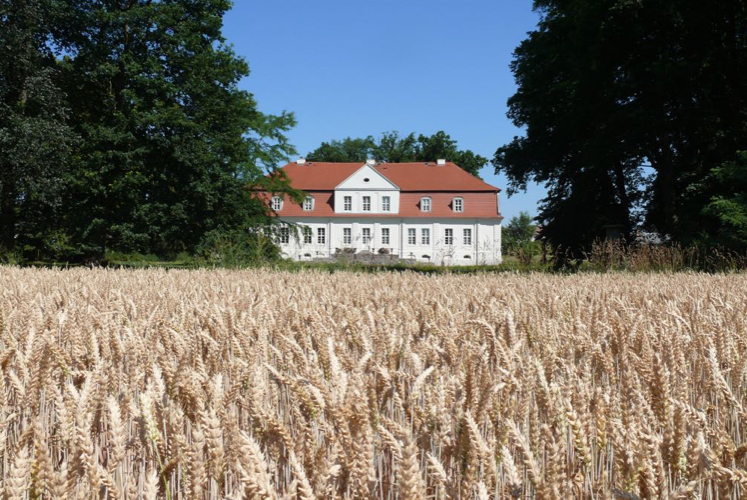 Feld vor Schloss Kotelow